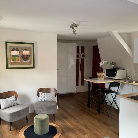 Coquet Studio Colmar Centre Dış mekan fotoğraf